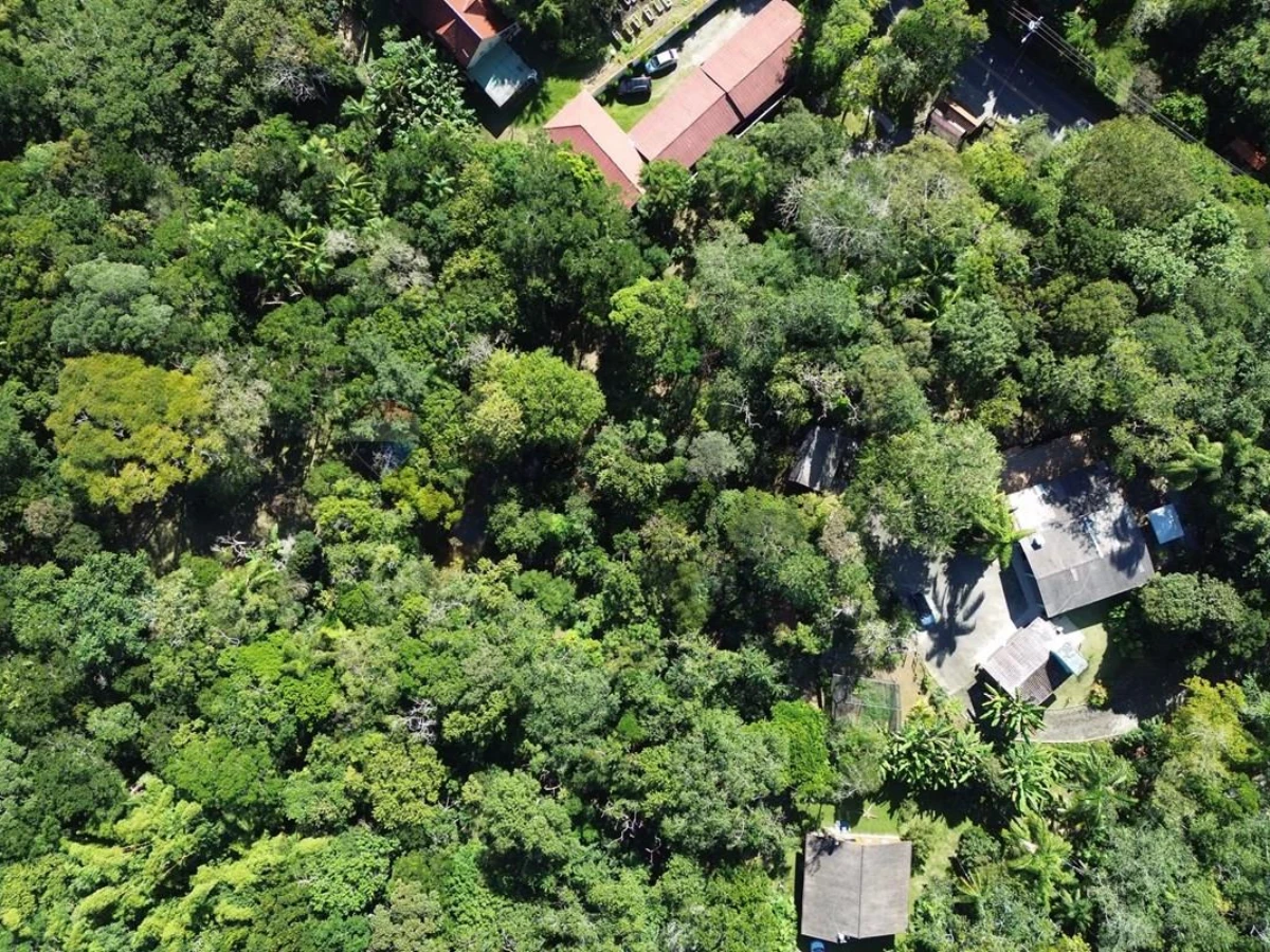 Chácara à Venda — Vargem Grande, Florianópolis, 12.268 m²